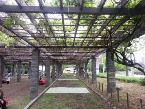 Fukuoka - Park bei der Burgruine