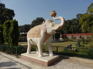 Elefant im Laxmi Narayan Birla Mandir Tempel