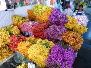 Auf dem Flowers Markt