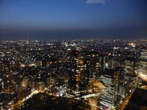 Ausblick vom Tokyo Metropolitan Government Building
