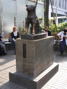 Hachiko - der bekannte Akita Hund