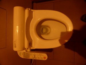 Meine erste echte japanische Toilette