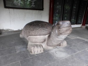 Schildkröte in der Wenshu Monastry