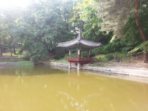 Im Secret Garden von Changdeokgung
