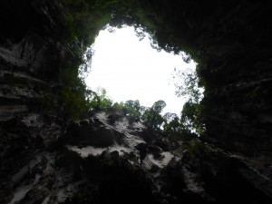In den Batu Caves
