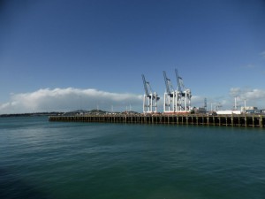 Am Hafen in Auckland