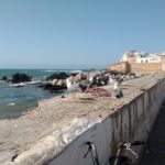 Am Hafen von Essaouira