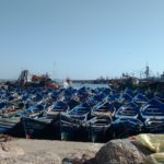 Am Hafen von Essaouira